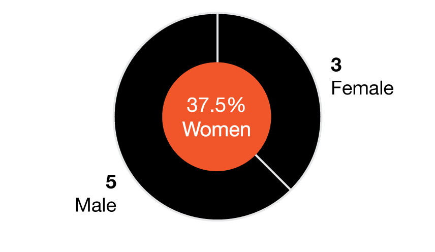 Diversity-Charts1.gif